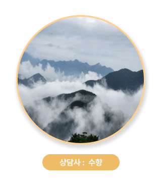 상담문의